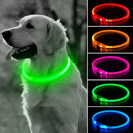 Hunde LED Halsband